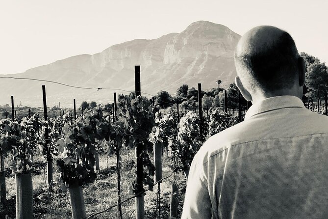 Sunset Among the Vineyards With Tasting in Alicante (6-12 People) - Sunset Viewing