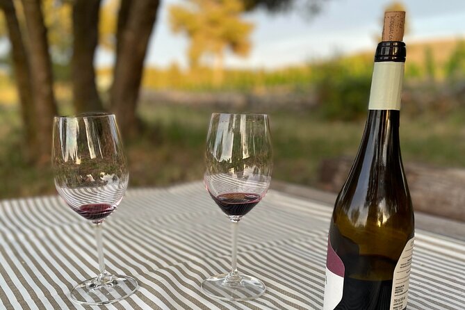 Sunset Among the Vineyards With Tasting in Alicante (6-12 People) - Group Size and Availability