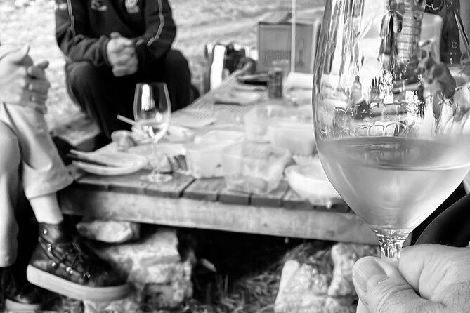 Sunset Among the Vineyards With Tasting in Alicante (6-12 People) - Common Questions