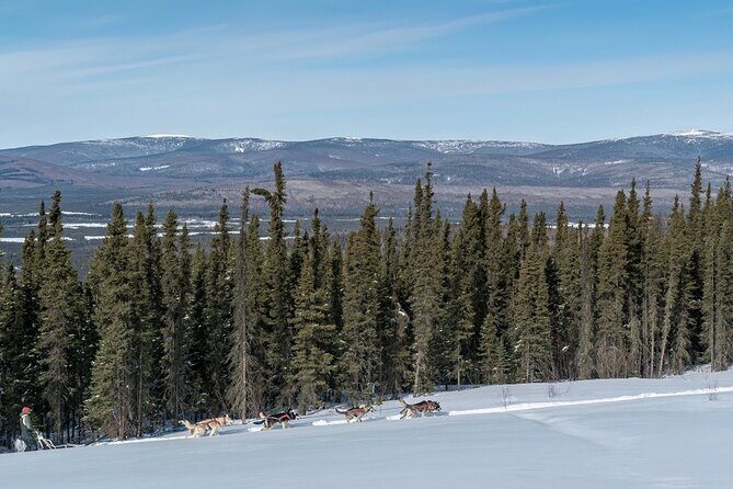 Sunset and Full Moon or Extended Ridge Top Mush - Good To Know