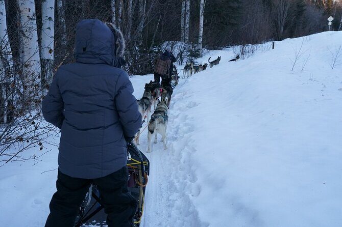 Sunset and Full Moon or Extended Ridge Top Mush - What to Expect from This Fairbanks Sled Dogs Adventure