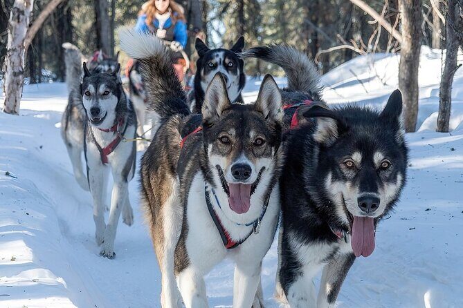 Sunset and Full Moon or Extended Ridge Top Mush - Who Will Love This Tour?