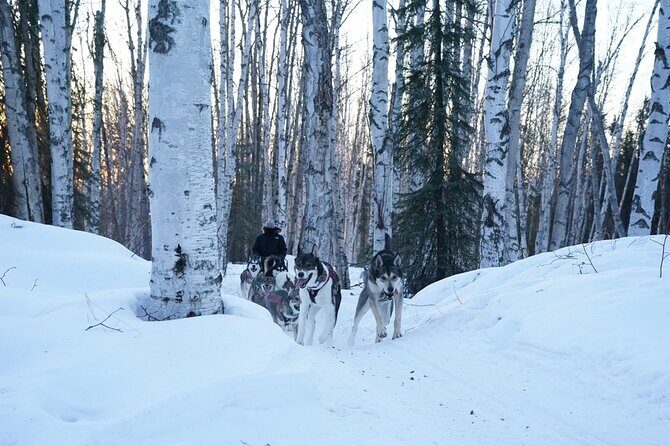 Sunset and Full Moon or Extended Ridge Top Mush - FAQs