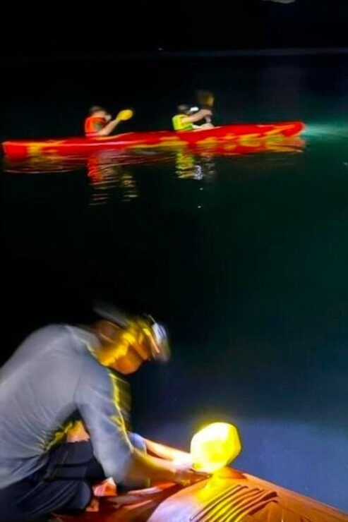 Sunset and Magical Bioluminescence Plankton Night Kayak Tour - Itinerary Details