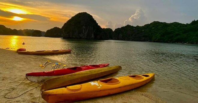 Sunset and Magical Bioluminescence Plankton Night Kayak Tour - Unique Highlights