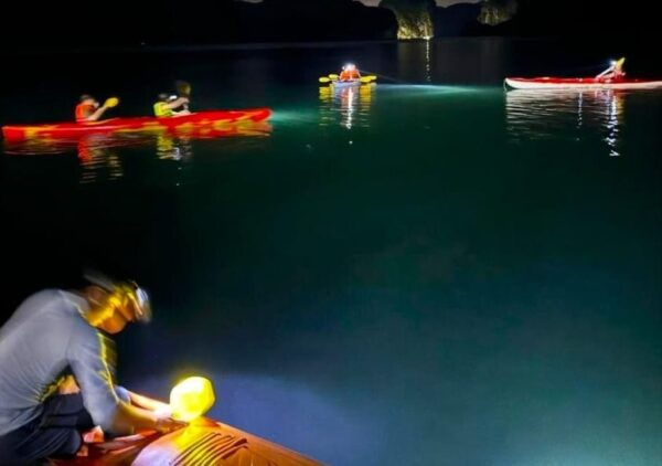 Sunset and Magical Bioluminescence Plankton Night Kayak Tour - Packing Essentials