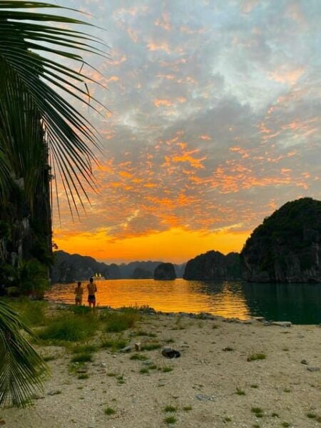 Sunset and Magical Bioluminescence Plankton Night Kayak Tour - Contact and Communication