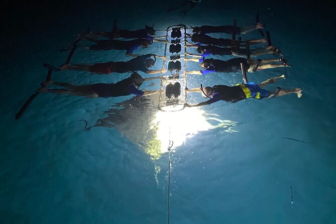 Sunset and Manta Ray Snorkel Adventure - Overall Experience