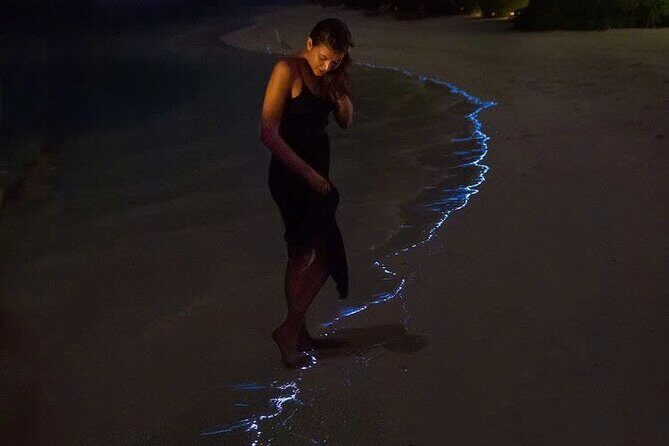 Sunset and Plankton Bioluminescent Night Kayak Lan Ha Bay - Good To Know