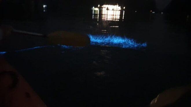 Sunset and Plankton Bioluminescent Night Kayaking - Common Questions