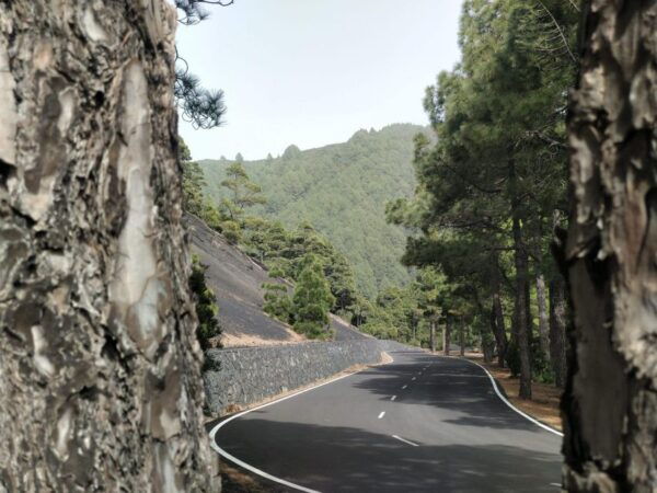 SUNSET AT THE TAJOGAITE VOLCANO (WITH GUIDE-NO TRANSFER) - Reserve and Pay Instructions