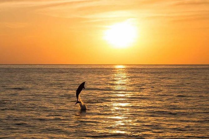 Sunset Beach Hopping Cruise, Cala Comte and Cala Bassa, SUP and Snorkelling - Additional Information