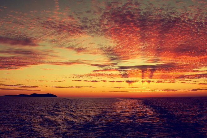 Sunset Beach Hopping Cruise, Cala Comte and Cala Bassa, SUP and Snorkelling - Tips for a Memorable Experience