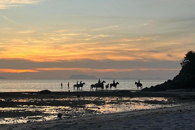 Sunset Beach Horseback Ride Phuket - An Overview of the Experience