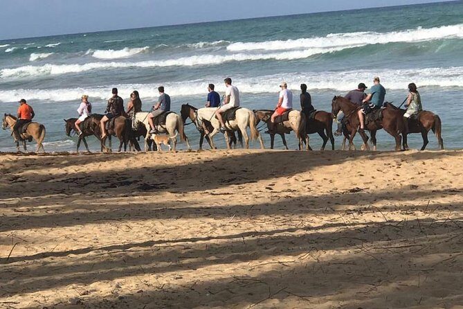 Sunset beach horsebackriding Punta Cana - Sunset Beach Horseback Riding in Punta Cana: An Honest Review