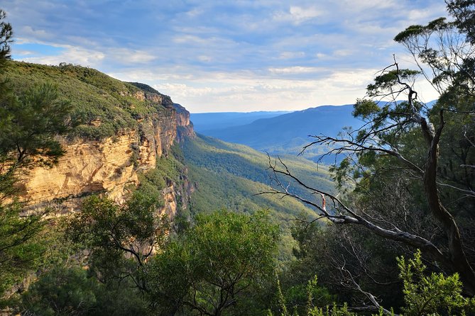 Sunset Blue Mountains Wilderness & Wildlife Tour From Sydney - Cancellation Policy