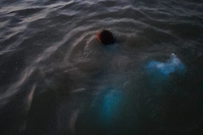 Sunset Boat Ride in the Falmouth Luminous Lagoon Swim and Dinner - Sunset Boat Ride Highlights