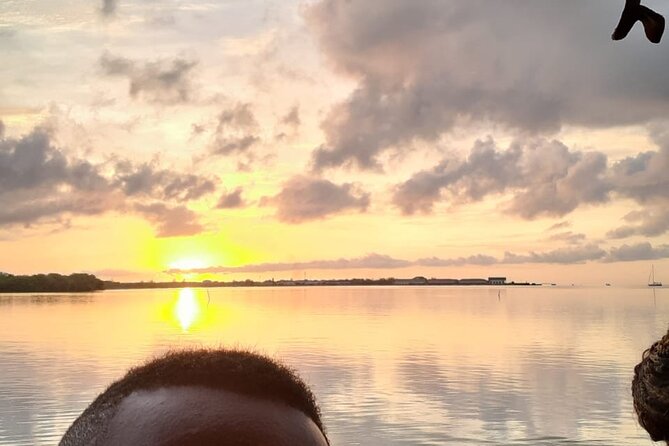 Sunset Boat Ride in the Falmouth Luminous Lagoon Swim and Dinner - Luminous Lagoon Swim Experience