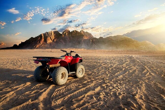 Sunset By Bike Quad, Camel Ride Bedouin Dinner of Marsa Alam - Good To Know