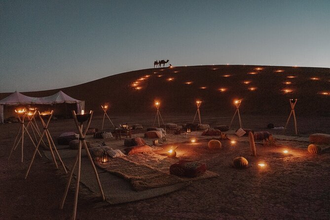 Sunset By Bike Quad, Camel Ride Bedouin Dinner of Marsa Alam - Pricing & Reservations