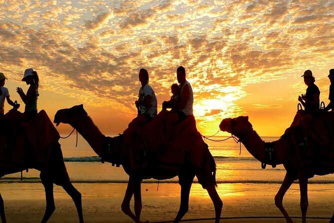 Sunset By Bike Quad, Camel Ride Bedouin Dinner of Marsa Alam - Booking Benefits