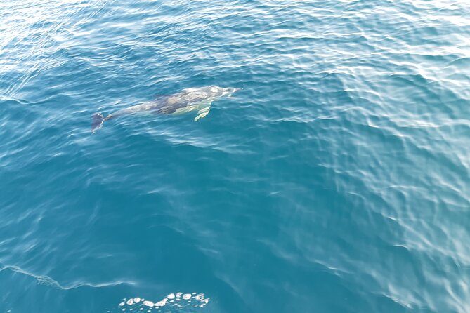 Sunset by Boat in Marbella - Booking and Confirmation Process