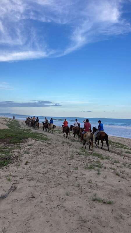 Sunset by Horse on the Beach - Frequently Asked Questions (FAQs)