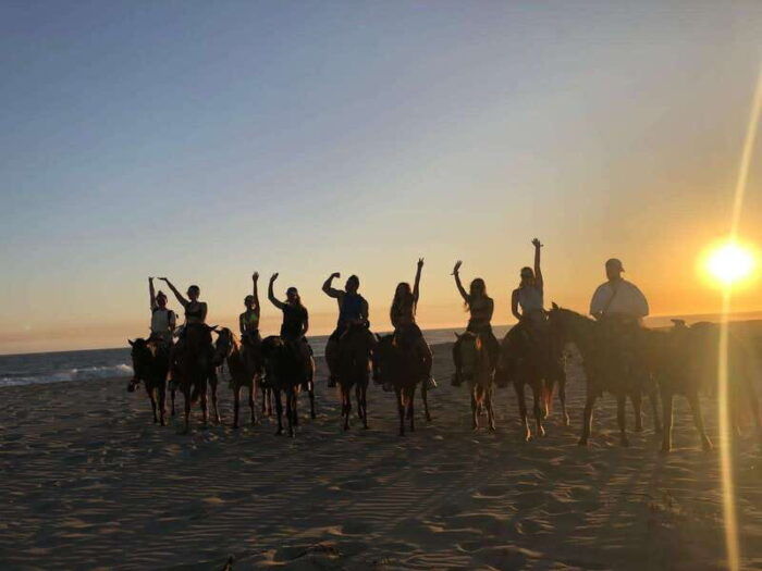 Sunset by Horse on the Beach - FAQ