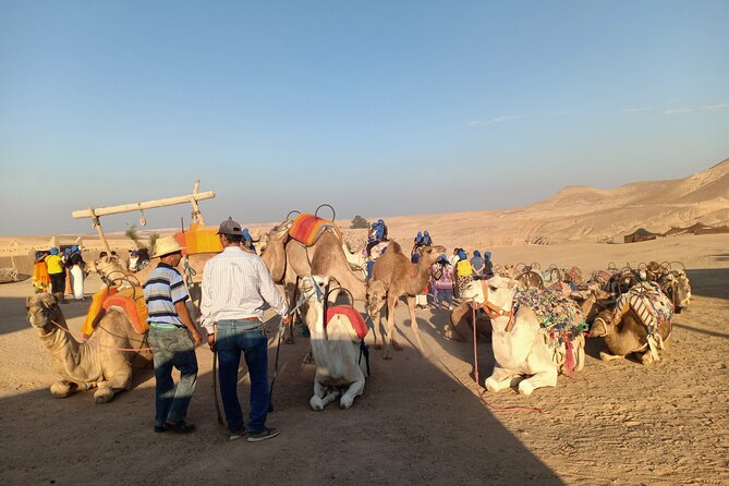 Sunset Camel Ride Agafay Desert Marrakech - Traveler Photos