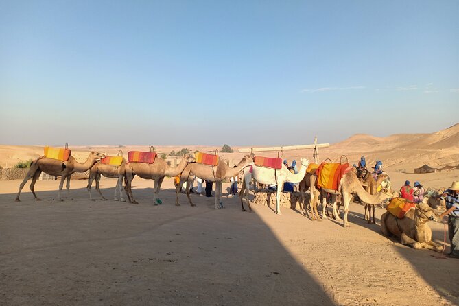 Sunset Camel Ride Agafay Desert Marrakech - Directions