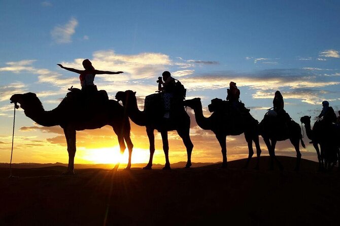 Sunset Camel Ride and Dinner in Agafay Desert - Good To Know