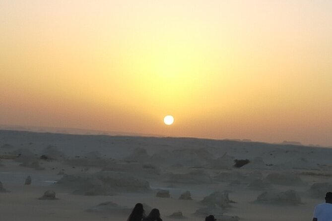 Sunset Camel Ride and Light Show From Cairo - Tour Highlights