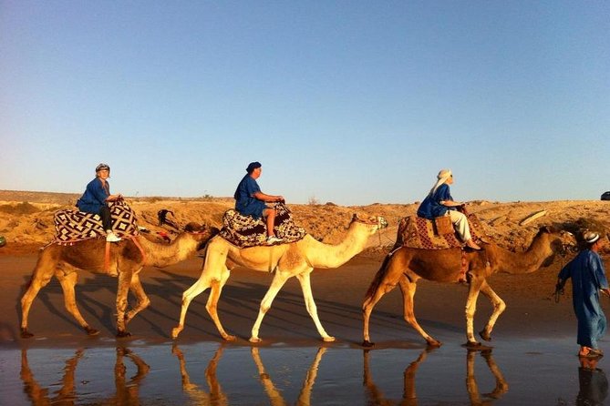 Sunset Camel Ride In Agadir - Good To Know