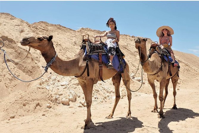 Sunset Camel Ride in Agadir - What To Expect