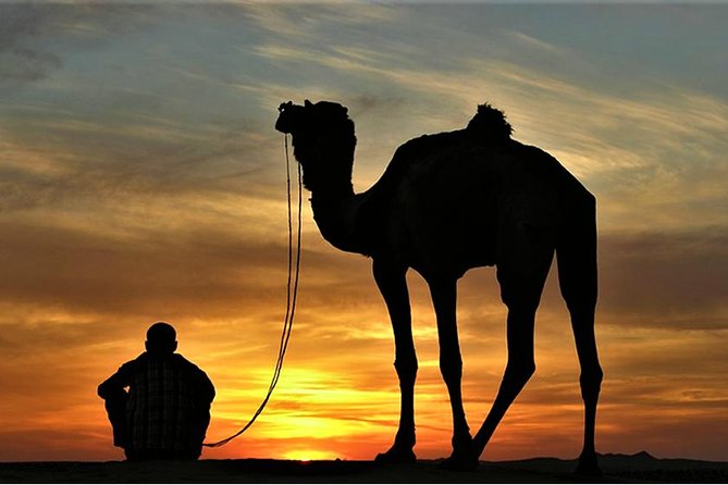Sunset Camel Ride in Agadir - Additional Information