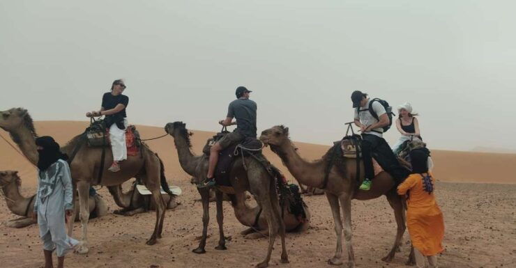 Sunset Camel Ride in Agafay Desert From Marrakech - Booking Information for Sunset Camel Ride