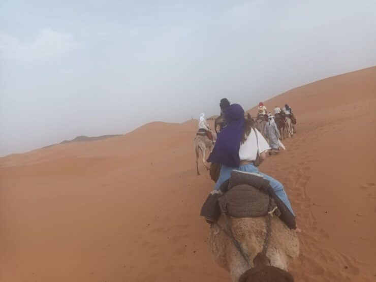 Sunset Camel Ride in Agafay Desert From Marrakech - Camel Care and Pick Up Details