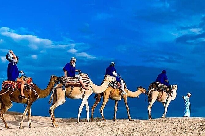 Sunset Camel Ride In Desert From Marrakech - Good To Know