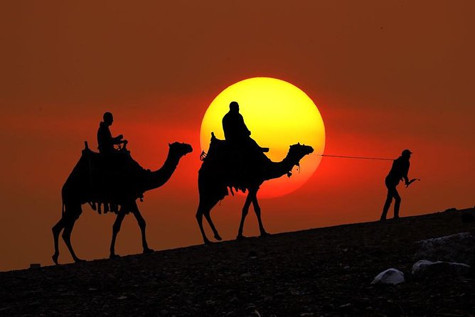 Sunset Camel Ride In Desert From Marrakech - What to Expect