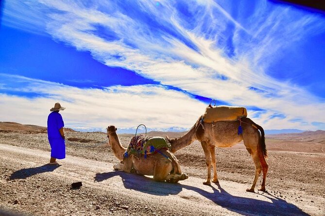 Sunset Camel Ride In Desert From Marrakech - Important Information