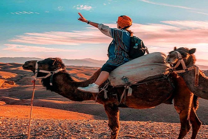 Sunset Camel Ride In Desert From Marrakech - Price and Reviews
