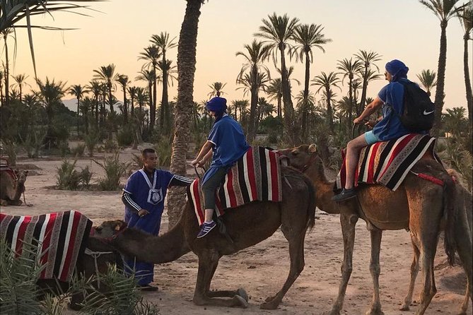 Sunset Camel Ride In Marrakech Palm Grove - Unforgettable Sunset Views