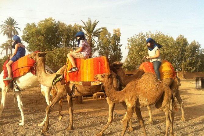 Sunset Camel Ride In Marrakech Palm Grove - Flexible Booking and Cancellation Policy