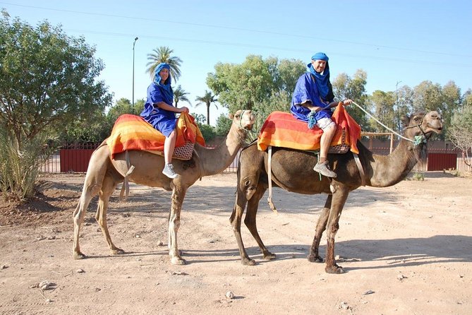 Sunset Camel Ride In Marrakech Palm Grove - Authentic Reviews and Ratings