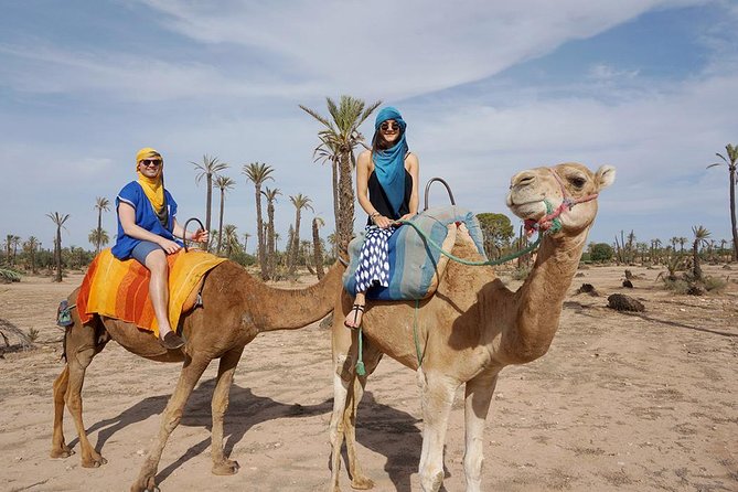 Sunset Camel Ride in Palm Groves With Tea Break - Cancellation Policy