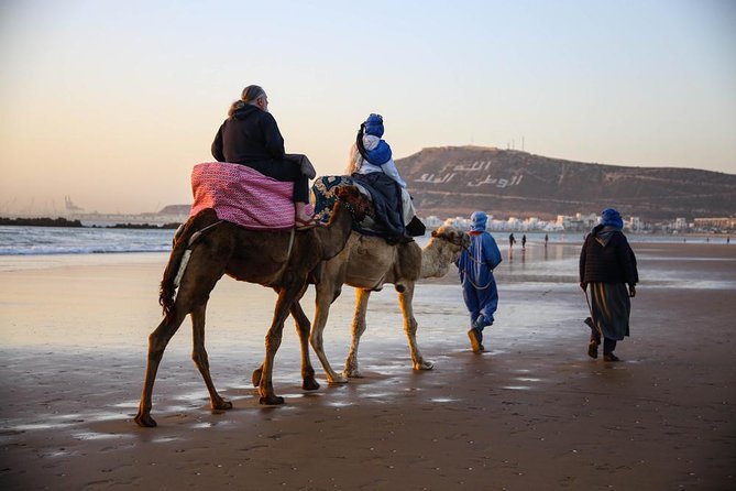 Sunset Camel Ride In The Beautiful Beach of Agadir - Reviews
