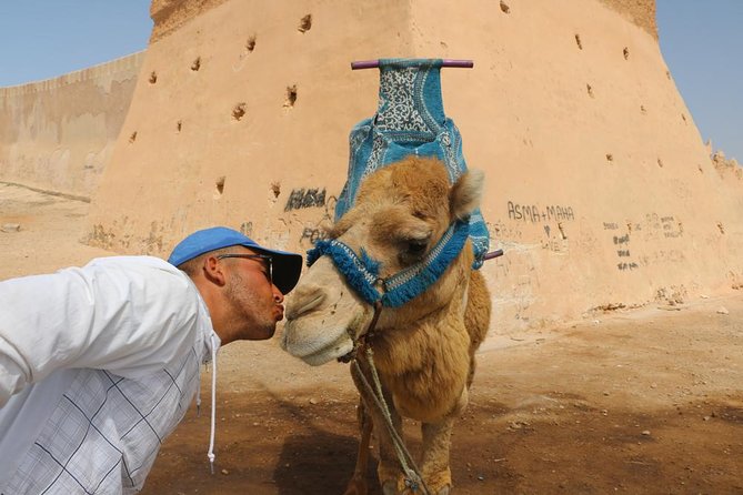 Sunset Camel Ride In The Beautiful Beach of Agadir - Experience Highlights
