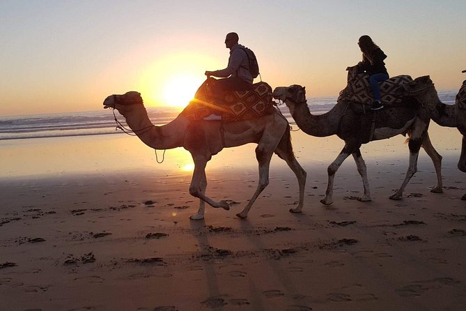 Sunset Camel Ride In The Beautiful Beach of Agadir - What to Expect