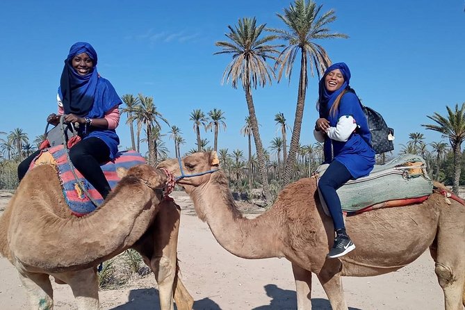 Sunset Camel Ride In The Marrakech Palm Grove - Location