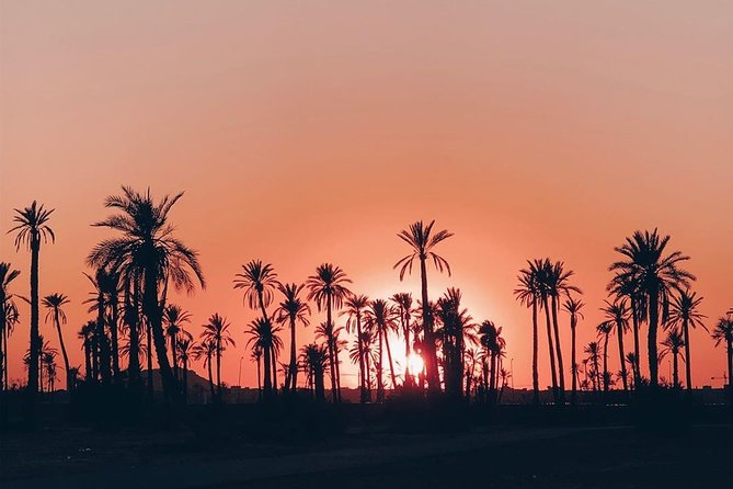Sunset Camel Ride In The Marrakech Palm Grove - Price